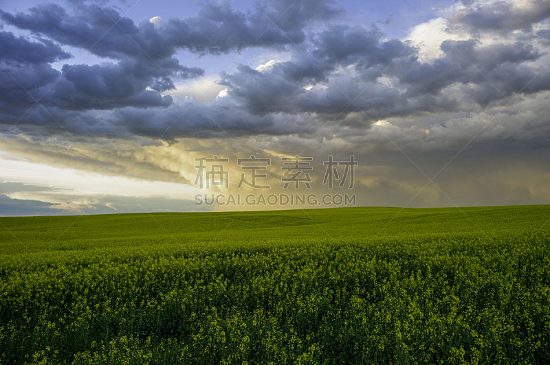 草原,乌云,在上面,被抛弃的,农业,湿,旅途,景观设计,环境,云