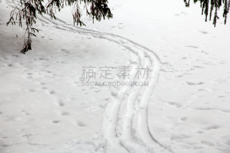 雪,小路,通道地毯,寒冷,平视角,运动,云杉,背景,休闲活动,户外