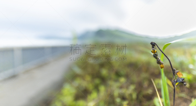 寂寞,海滩,自然美,夏天,户外,天空,室兰,日本,沙子,亚洲