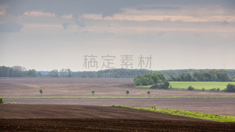 泥土,地形,枝繁叶茂,黑色,斯普林费德,非都市风光,田园风光,户外,季节,夏天