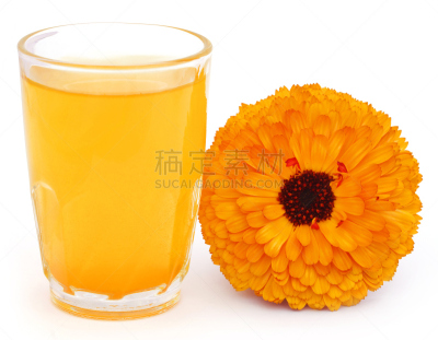 corn marigold,草药,玻璃杯,仅一朵花,草本,自然,印度草医学,水平画幅,无人,白色背景