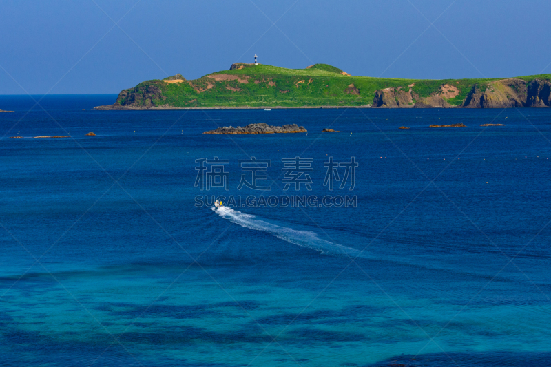 礼文岛,自然,风景,图像,海洋,太平洋,鄂霍次克海,草,自然美