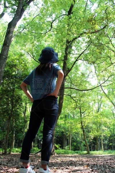 青年女人,森林,垂直画幅,公园,枝繁叶茂,健康,夏天,户外,沃金市,仅成年人