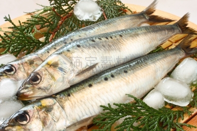 冰块,沙丁鱼,滤器,留白,水平画幅,节分,生食,家庭生活,膳食,海产