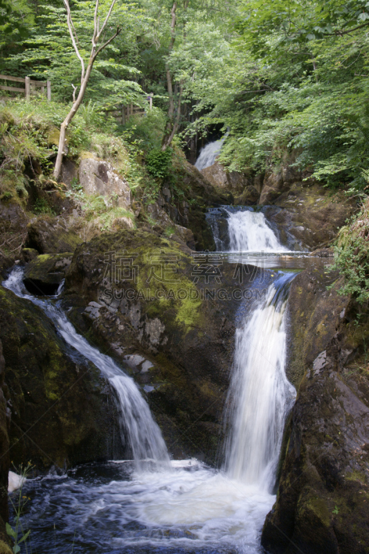 瀑布,因格莱顿,小路,自然,垂直画幅,彩色图片,无人,风景,户外,摄影