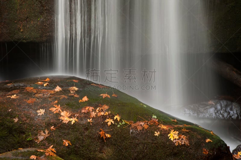 华特康县,水,公园,休闲活动,水平画幅,瀑布,户外,雨燕河,美洲,石头