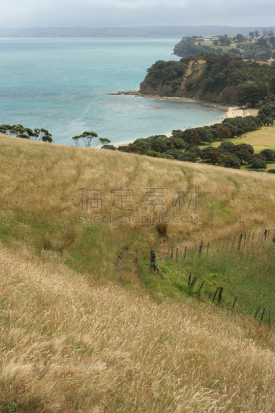 威廉莎士比亚,省立公园,hauraki gulf islands,垂直画幅,山,无人,海岸地形,户外,草,自然公园