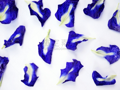 背景,叶子,蓝色,自然美,绘画插图,豌豆花,水彩画,背景分离