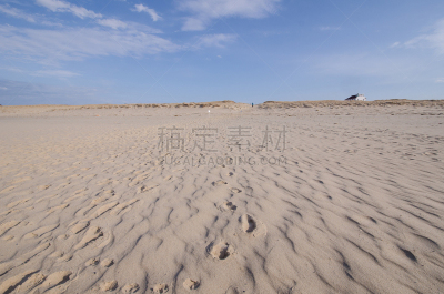柯德角,海滩,锐角,马萨诸塞,普诺温斯镇,新英格兰,环境,鳕鱼,环境保护,大西洋