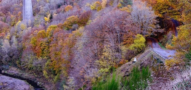 风景,森林,高架桥,多姆山,十月,法国,奥弗涅,枝繁叶茂,自然美,植物