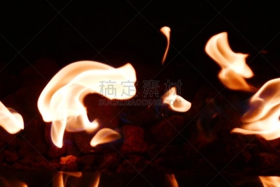 式样,环境,气候,复叶,自然美,树冠,沙漠,热带树,建筑,沙漠绿洲