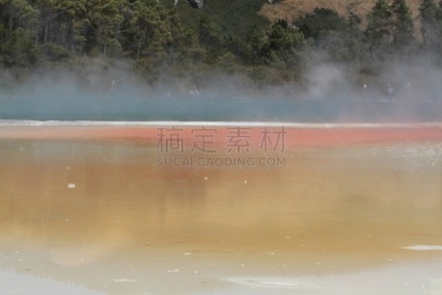 罗托鲁阿,新西兰,部分,一只动物,水,水平画幅,lake tarawera,无人,火山地形,户外