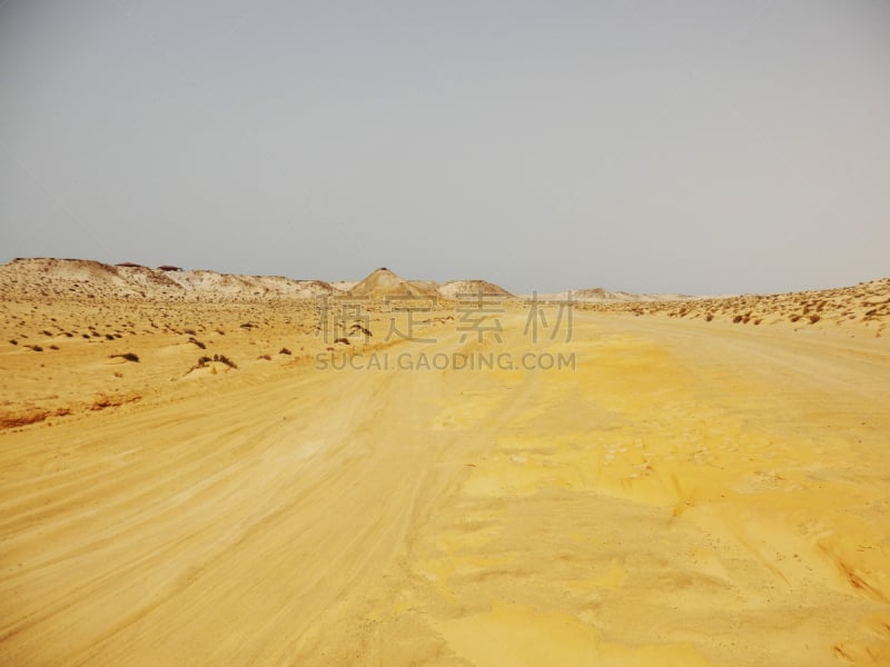 western sahara,地形,干热气候,西撒哈拉沙漠,达禾赖绿洲,热,空的,自然美,摩洛哥,沙漠