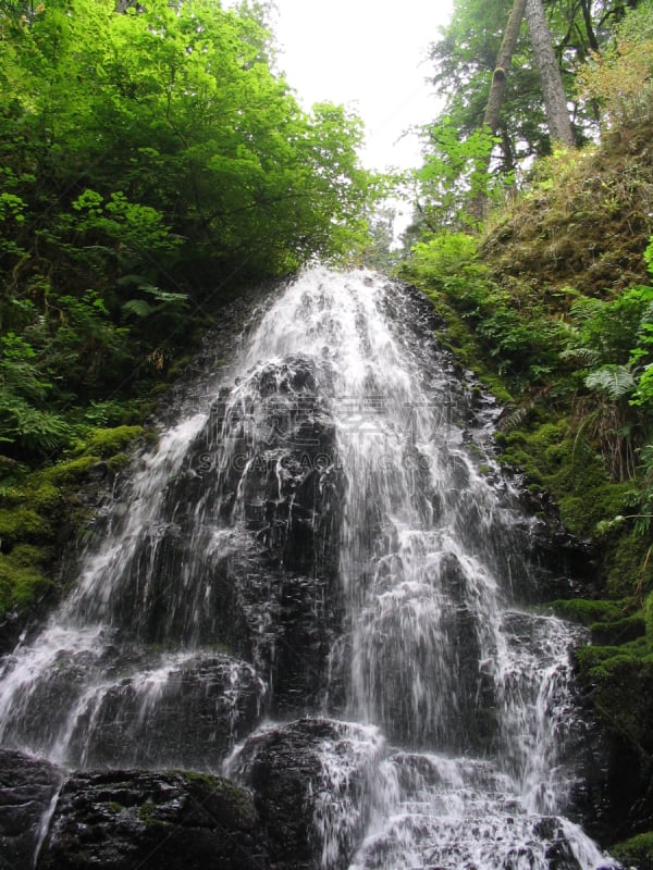 wahkeena waterfall,哥伦比亚河谷,波特兰,自然,垂直画幅,俄勒冈州,俄勒冈郡,瀑布,无人,苔藓