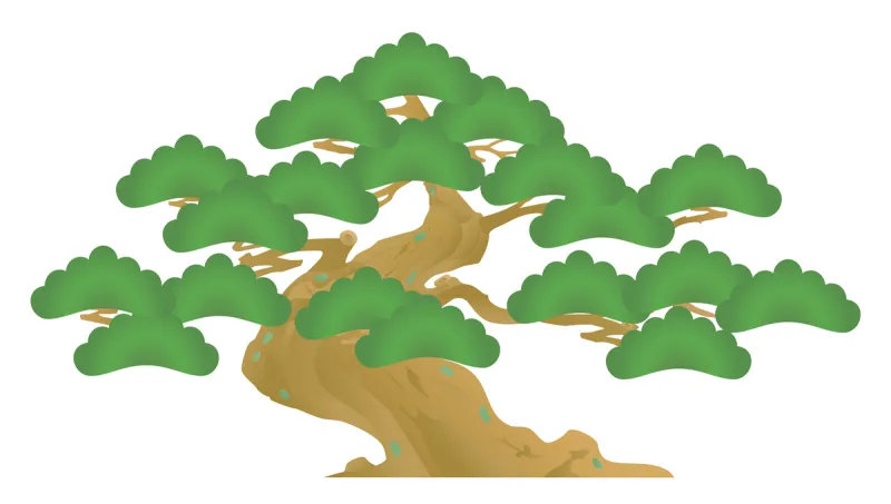 盆景 松树 歌舞伎 松木 图像 室内植物 松科 枝 常绿树 无人图片素材下载 稿定素材 盆景 松树 歌舞伎 松木 图像 室内植物 松科 枝 常绿树 无人图片素材下载 稿定素材
