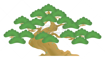 盆景,松树,歌舞伎,松木,图像,室内植物,松科,枝,常绿树,无人