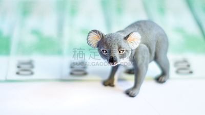 树袋熊,小雕像,储蓄,水平画幅,银行,无人,欧洲,银行业,国内生产总值,金融和经济