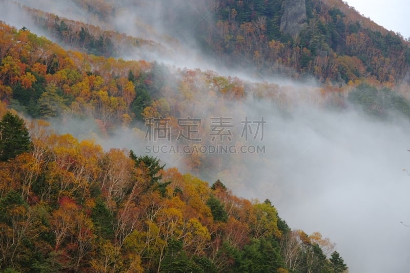 长野县,日本,著名自然景观,安静,纯净,云景,山口,云,休眠火山,户外