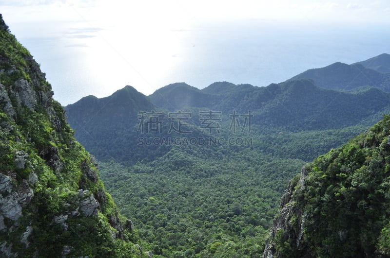 山,马来西亚,浮罗交怡岛,雨林,自然,水平画幅,无人,热带雨林,户外,岛