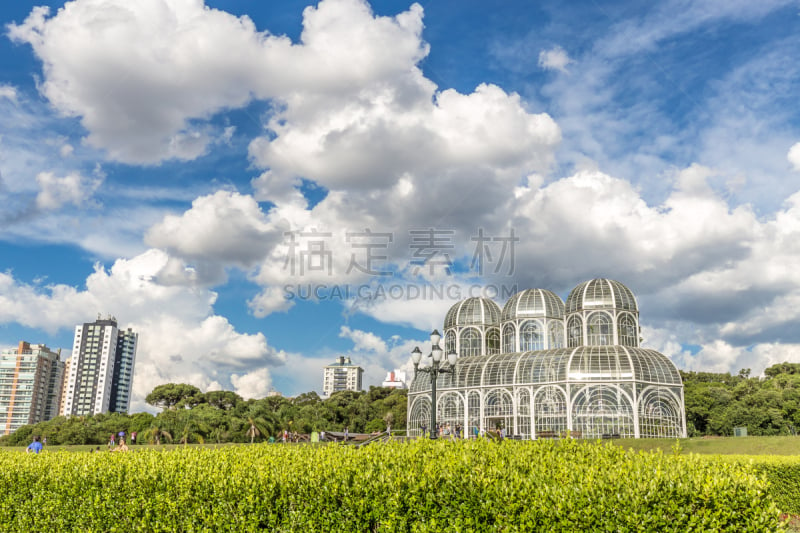 库里蒂巴,巴西,植物园,巴拉那洲,树园,自然,南美,水平画幅,建筑,无人