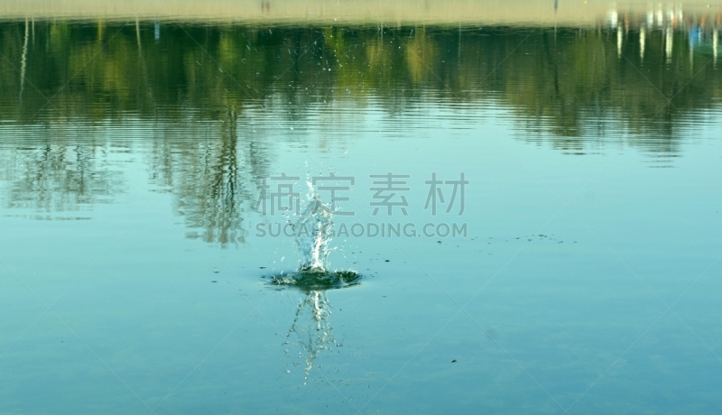 岩石,水,秘密,景观设计,黄昏,池塘,湖,背景,草地,波纹