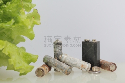 环境保护,电池,循环利用,地球日,绿色,莴苣,锅,活力,农业,有毒废物