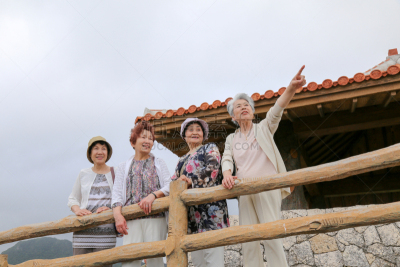 老年人,看,地形,公亩,度假胜地,水平画幅,夏天,户外,石垣岛,仅成年人