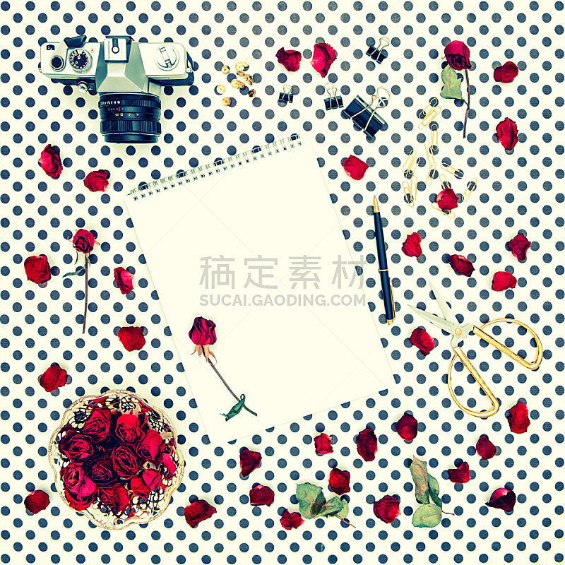速写本,玫瑰,相机,红色,平铺,单色图片,圆点,排列整齐,个人随身用品,边框