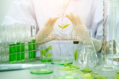 实验室,草药,药,医学检测,水平画幅,生物学家,化学家,科学实验,科学,标签