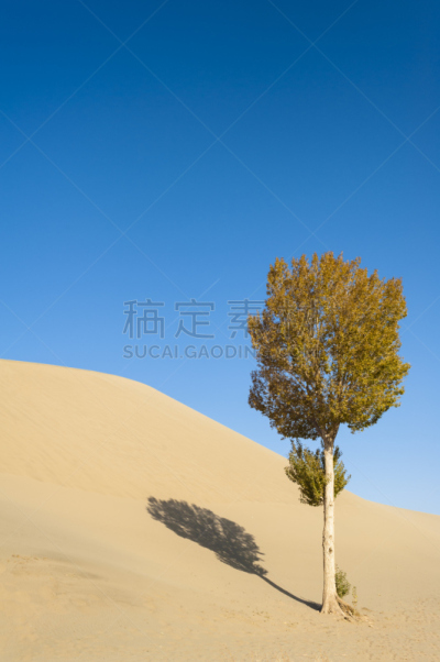 阴影,沙漠,寂寞,桨叉架船,自然,垂直画幅,天空,地形,山,沙子