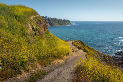 悬崖,bluff cove,非凡的,地形,户外,春天,多色的,蓝色,活力,旅途