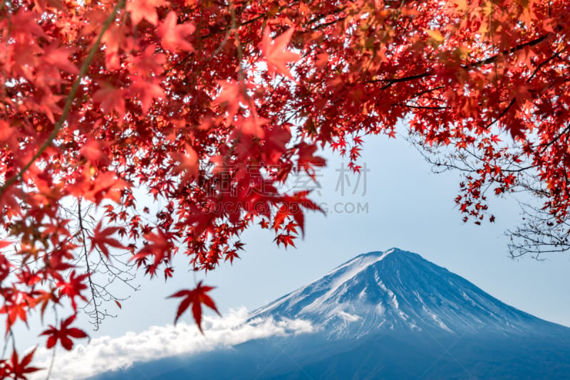 富士山,秋天,河口湖,红花槭,在之后,水,天空,京都府,美,水平画幅