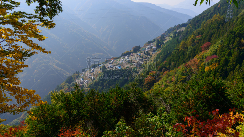 长野县,里山,旅游目的地,水平画幅,高视角,秋天,无人,乡村,日本,户外