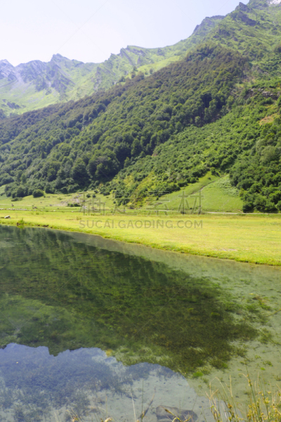 湖,法国,宝丽丝山脉,南,非凡的,高处,垂直画幅,水,美,无人