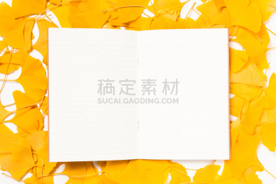 银杏,叶子,空白的,纸,背景,边框,水平画幅,消息,无人,叶脉