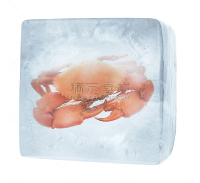 海产,冻结的,锯缘青蟹,水,饮食,寒冷,水平画幅,无人,白色背景,冰