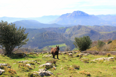 山,西班牙,徒步旅行,自然,风景,环境,全景,图像,阿兹佩希亚,户外
