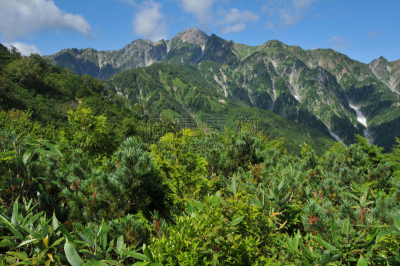山,富山县,飞驒山脉,日本阿尔卑斯山脉,长野县,自然,天空,水平画幅,绿色,枝繁叶茂