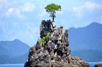 泰国,安达曼海,岛,无人,自然,图像,水平画幅,灌木,攀牙湾,摄影