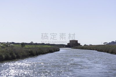 意大利,自然,野生动物保护区,托斯卡纳区,水,水平画幅,山,母马,无人,鸟类
