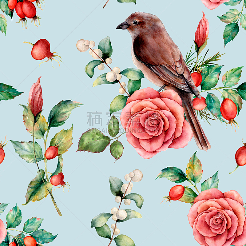 玫瑰,鸟类,背景,绘画插图,枝,叶子,式样,分离着色,蓝色背景,花
