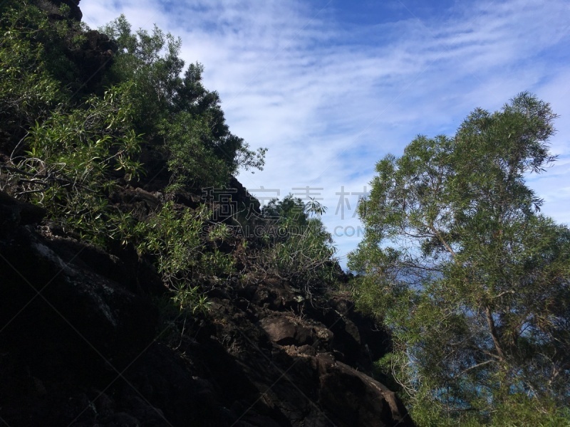 考艾岛,夏威夷,冬天,悬崖,纳柏里海岸,太平洋岛屿,波立黑州立公园,图像,颇里希而海滩,花朵