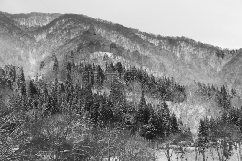 雪,冬天,乡村,白川乡,大井町,反曲刀,合掌屋,岐阜县,天空,水平画幅