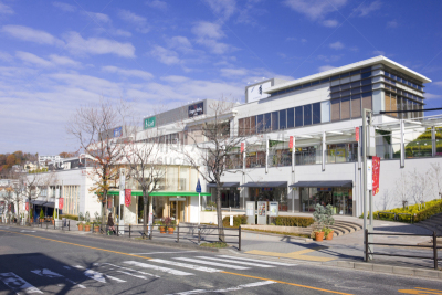 梯田,爱知县,名古屋,水平画幅,地形,日本,街道,购物中心,生活方式,户外