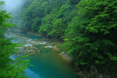 夏天,山谷,水,水平画幅,山,瀑布,无人,户外,植物,秋田县