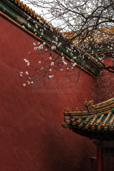 北京,春天,故宫,旅途,世界遗产,户外,建筑,禁止的,远古的,非凡的