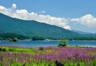 湖,山,指甲花树,福岛里,观光船,度假胜地,旅游目的地,水平画幅,无人,夏天