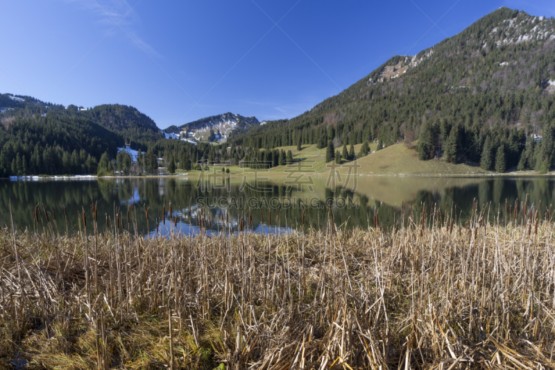 lake spitzingsee,湖,巴伐利亚,德国,水平画幅,小的,秋天,无人,蓝色,全景