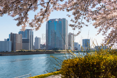 城市,日本,樱花,中央区,东京,桥,风景,交通,霜,river sumida