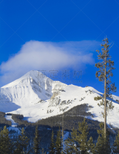 蒙大拿州,山,一只动物,平和,垂直画幅,图像,巨大的,宁静,无人,彼格斯盖